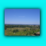 AAIMG7300.jpg