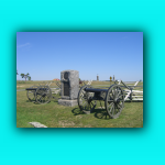 CIMG7312.jpg