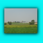 CIMG7481.jpg
