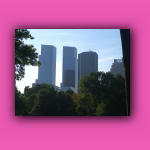 CIMG7969.jpg